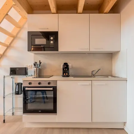 شقة Pour Deux En Mezzanine Avec Petit Balcon فيلنوف داسك